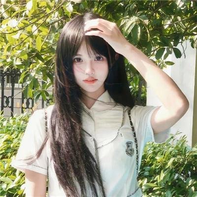 盗贼生涯
