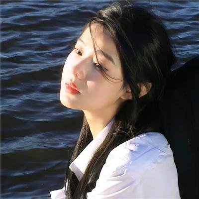 白鸥啊 不要飞起来